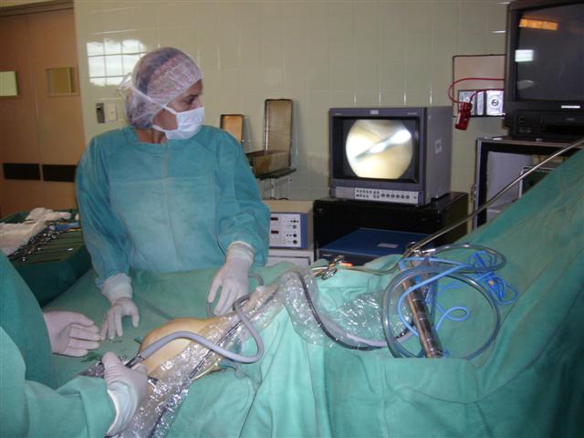 Inside the Knee